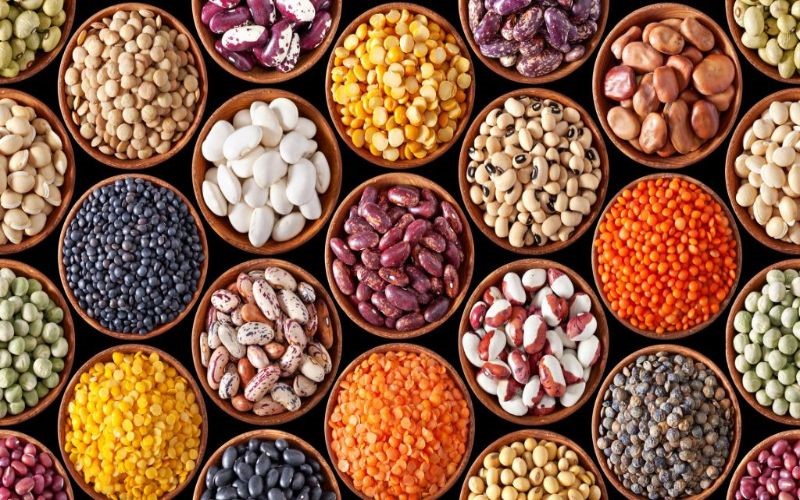Picture of legumes