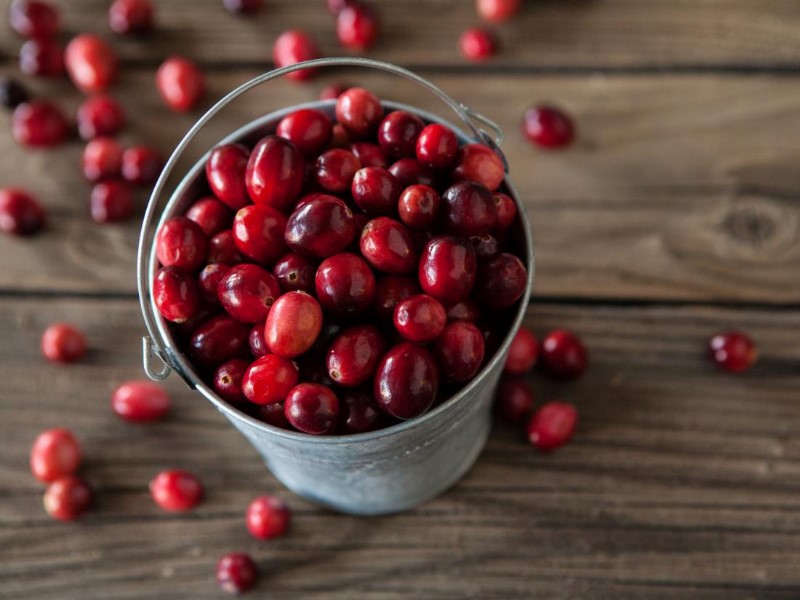 Photo of fresh cranberries in a bucket