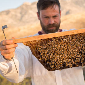 Noel Patterson – Sommelier & Beekeeper, Dos Manos Apiaries