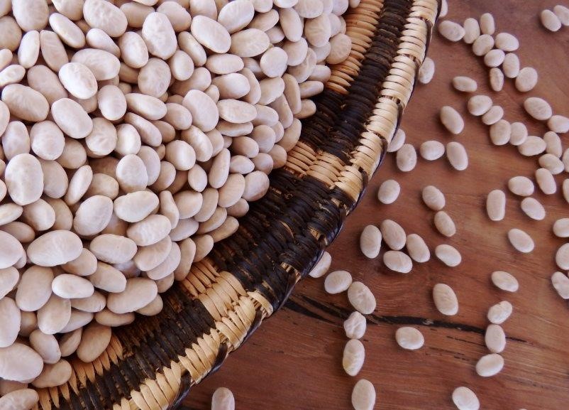 Photo of white tepary beans nesting inside a basket with beans scattered on the table.